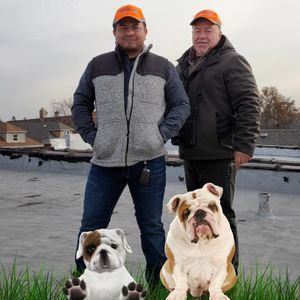 Meet your Posher, Luis